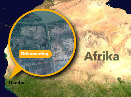 web afrika