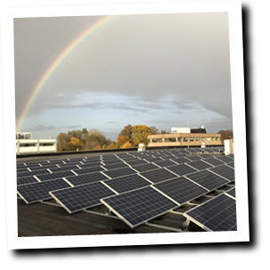 Solar Power for a logistics service provider in Deventer