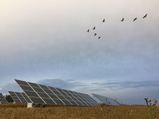 solarstreet tartu 4